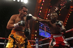 Boxing at Radio City Music Hall