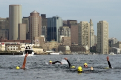 Boston Harbor Swim