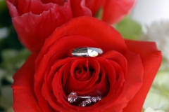 Rings In a Rose